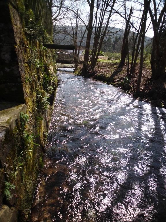 Pension - Gaestehaus Zum Pfaelzerwald Hinterweidenthal Eksteriør bilde